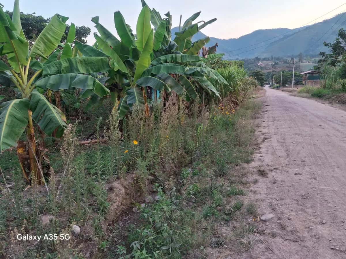 POR MOTIVOS DE SALUD SE VENDE LOTE DE 200 M2 miniatura 5