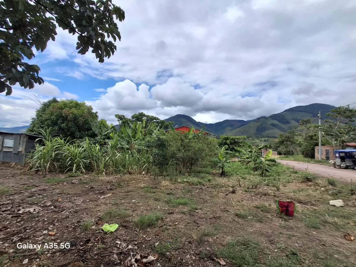 POR MOTIVOS DE SALUD SE VENDE LOTE DE 200 M2 miniatura 3