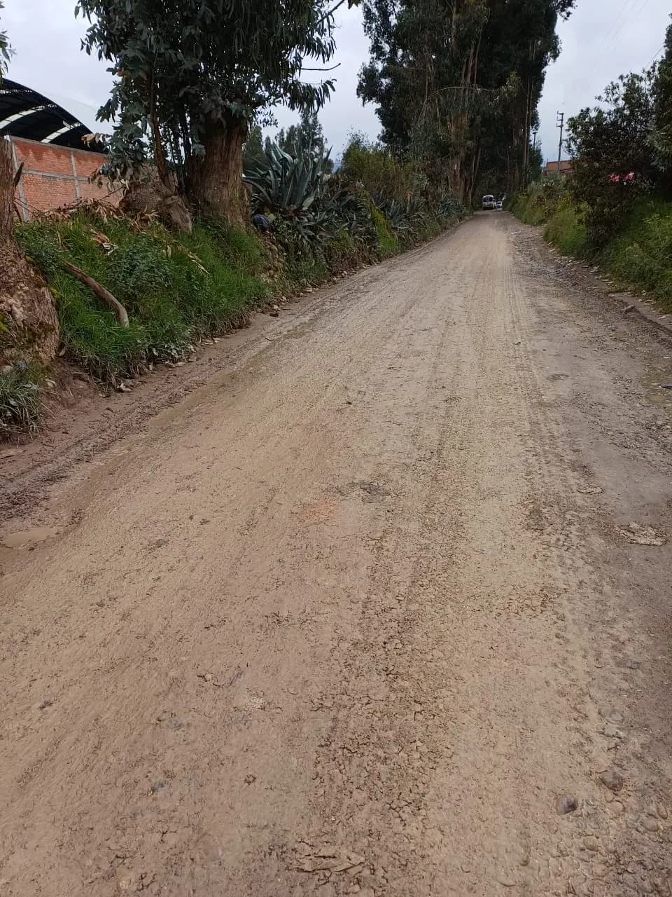 SE VENDE LOTE EN INCHO: LOTE 5 miniatura 2