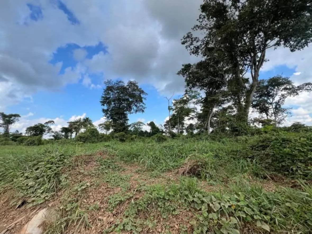 Terreno a 2 cuadras de la Carretera Federico Basadre miniatura 2