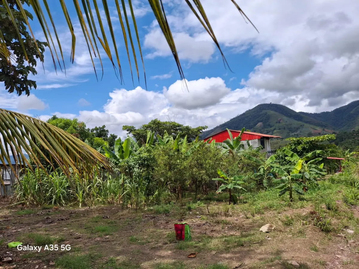 POR MOTIVOS DE SALUD SE VENDE LOTE DE 200 M2 - media 1